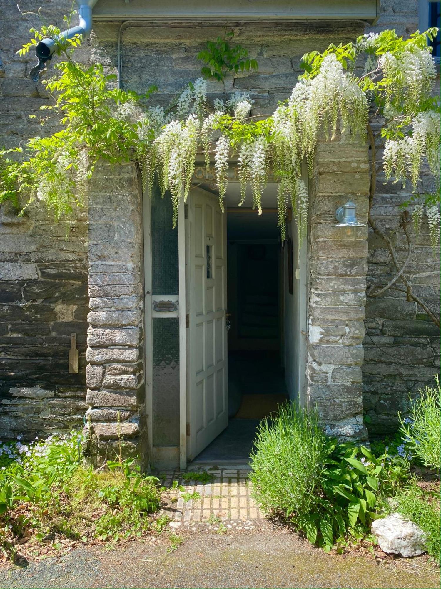 Home Farm - Theundergroundstream Churchstow Dış mekan fotoğraf